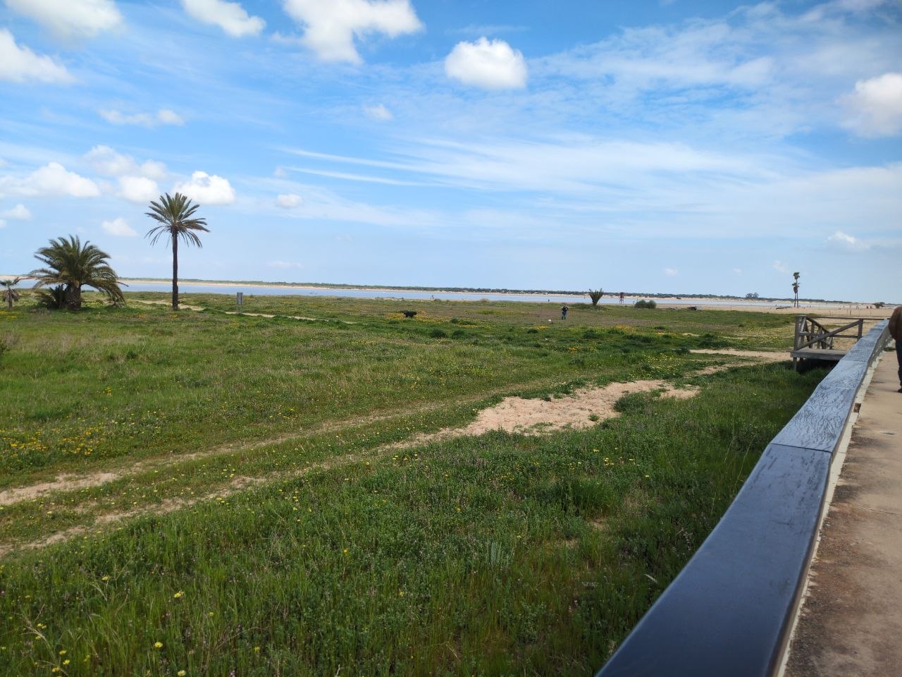 Playa de la Jara (Las Piletas), Sanlúcar de Barrameda en primavera